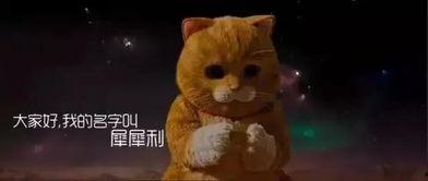 笑喵影院,欢乐无限,喜剧盛宴